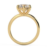 The 6-prong Solitaire