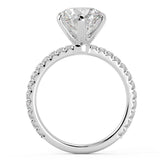 Six Prong Solitaire Ring French Cut Pavè
