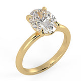 Clean and Simple Basket Timeless Oval