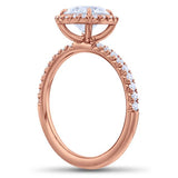 Stunning Classic Halo