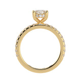 Balanced Hidden Halo Oval Brilliant Cut French Cut Pavè