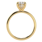 Hidden Halo Oval Brilliant Cut