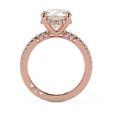 Round Brilliant Hidden Halo French Cut Pavé and complicated sides