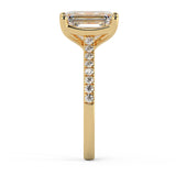 Emerald Cut Diamond French Cut Pave Engagement Ring