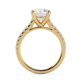 Cathedral and Balanced, the Best Ring Ever, Clean, Timeless, Elegant and Classic