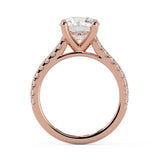 Cathedral and Balanced, the Best Ring Ever, Clean, Timeless, Elegant and Classic