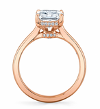 Pure Radiant Hidden Halo