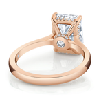 Pure Radiant Hidden Halo