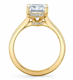 Pure Radiant Hidden Halo