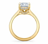 Pure Radiant Hidden Halo