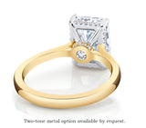 Pure Radiant Hidden Halo