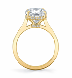 Pure Cushion Hidden Halo