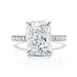 Cathedral Hidden Halo Elongated Cushion Cut, French Cut Pavé sides