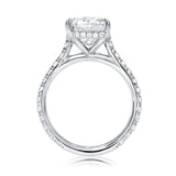 Cathedral Hidden Halo Elongated Cushion Cut, French Cut Pavé sides