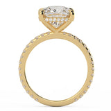 Best Ever Hidden Halo Soft Square