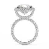 All Out Side Edge Cushion Halo